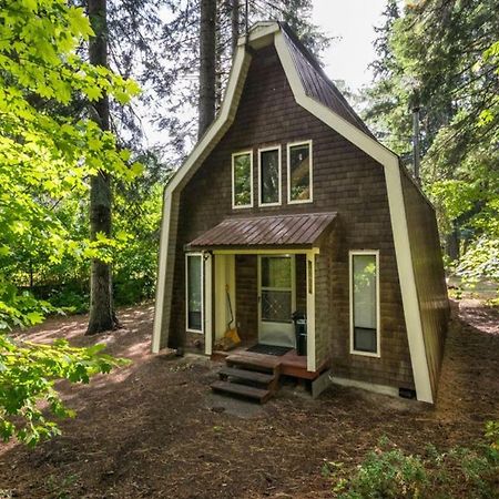 Nason Creek Cabin Villa Bagian luar foto